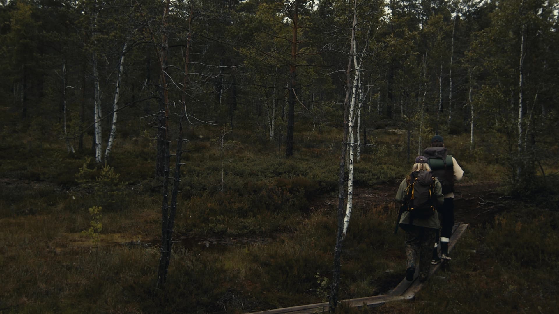 Metsänpeitto (2026)