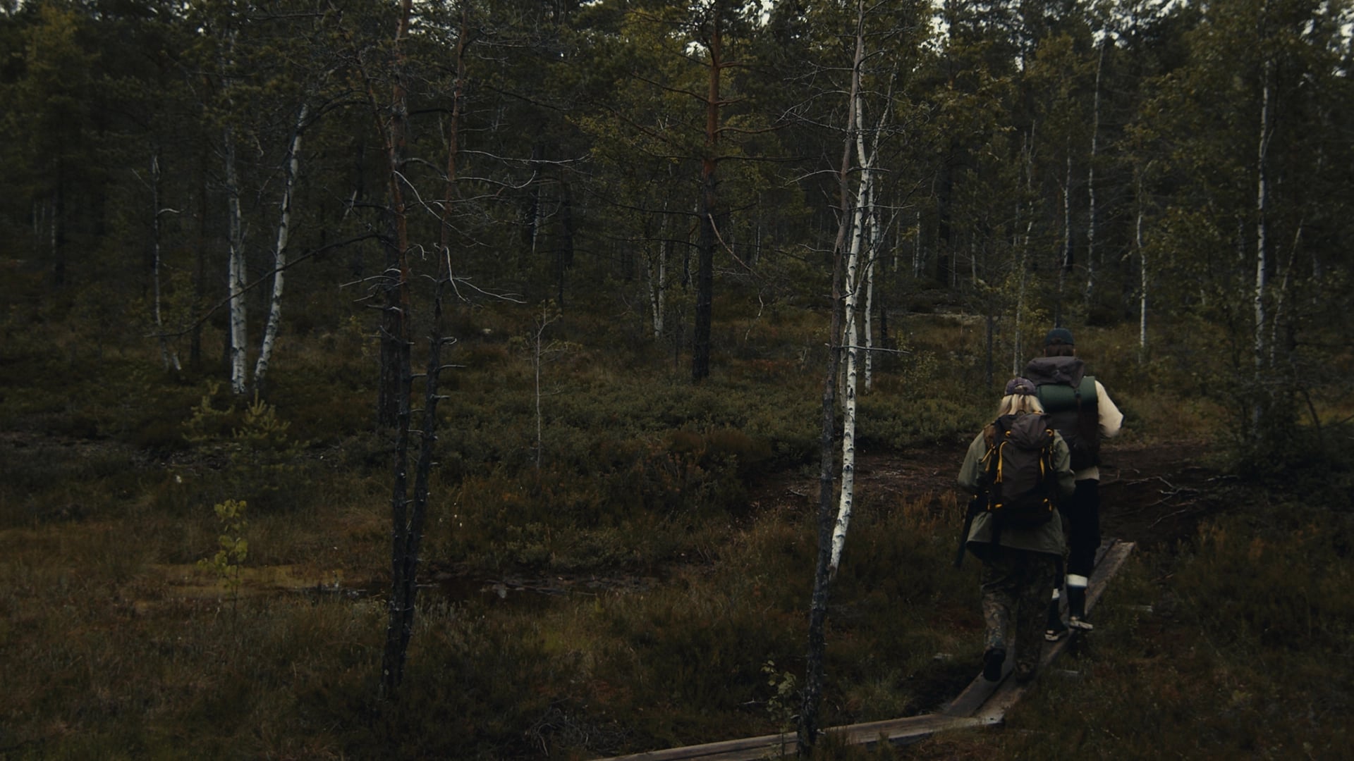 Kuutamo Films METSÄNPEITTO